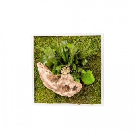 Tableau végétal gamme nature, carré 35 x 35 cm