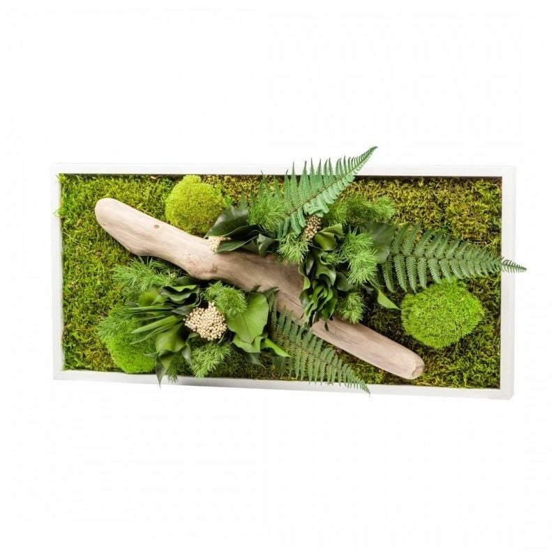 Naturalys - Tableau végétal gamme nature, rectangle panoramique 30 x 60 cm