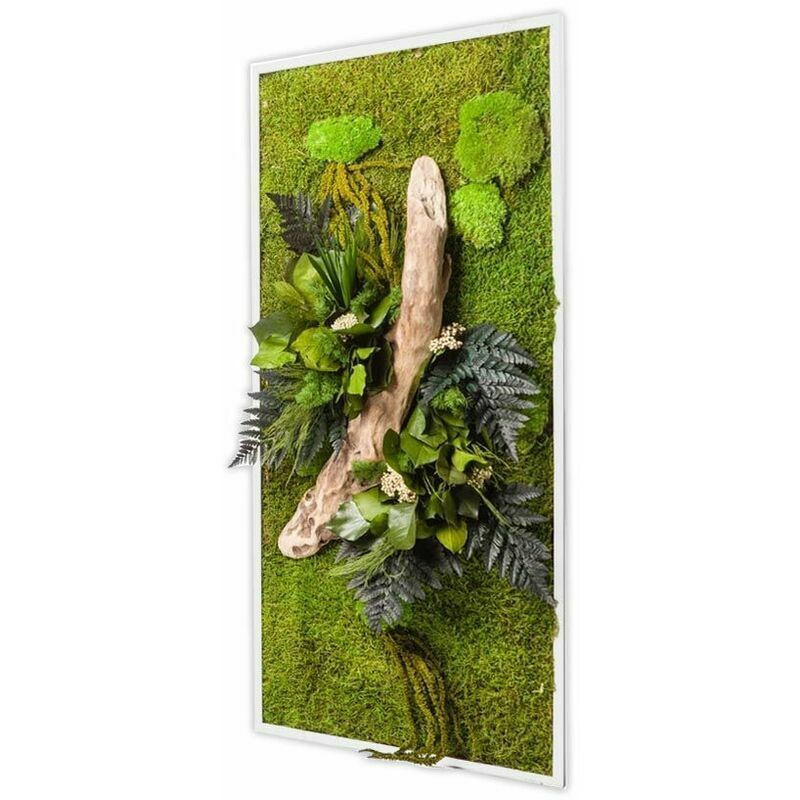 Flowerbox - Tableau végétal stabilisé nature Rectangle 57 x 97 cm - Blanc (cadre)