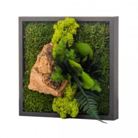 Tableau végétal mural stabilisé 22cm noir – Décoration naturelle – Pas besoin d'arrosage – Ambiance apaisante pour salon ou chambre – Naturalys