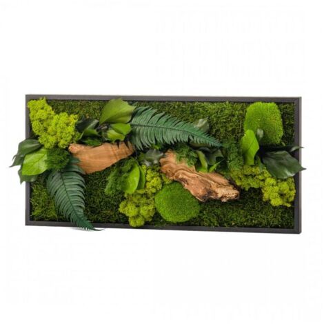 Tableau végétal mural stabilisé 57cm – Plantes stabilisées sans entretien – Cadre noir en bois – Accroche murale horizontale et verticale – Naturalys