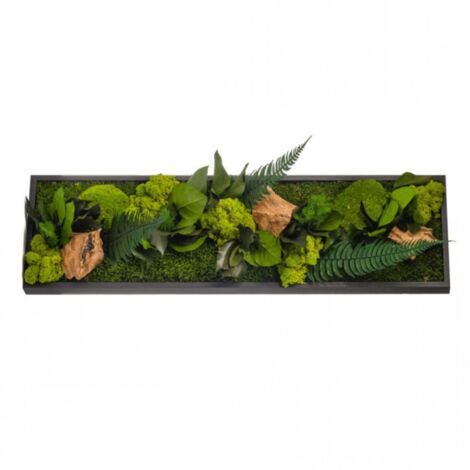Tableau végétal mural stabilisé 70cm – Mousse naturelle et feuillage – Décoration écologique sans entretien – Fond noir – Naturalys