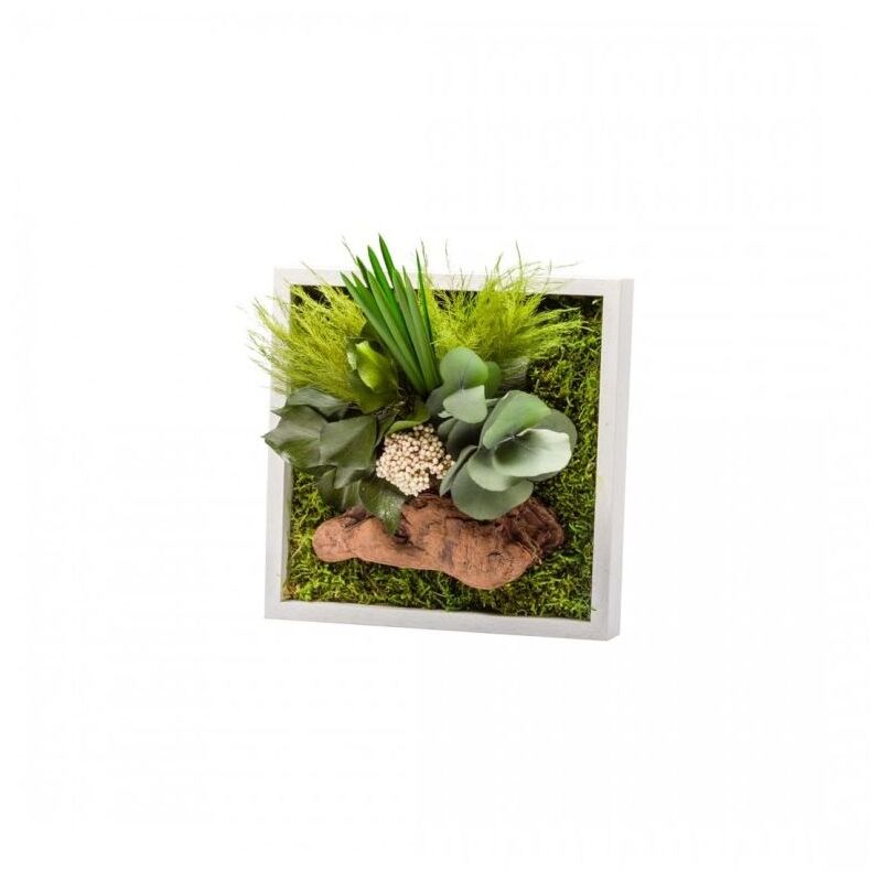 Naturalys - Tableau végétal gamme nature, carré 22 x 22 cm