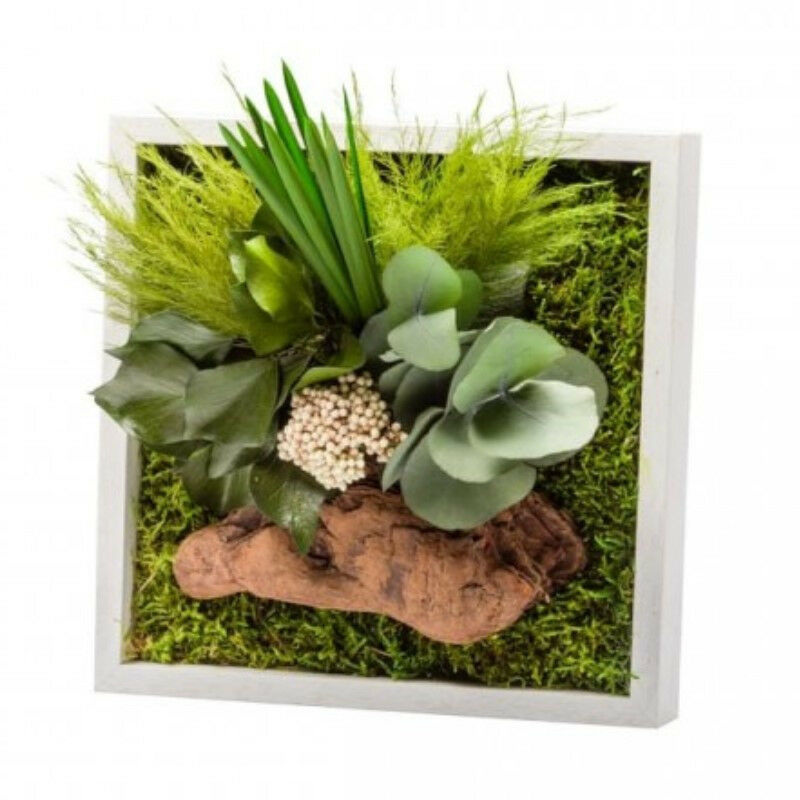 Naturalys - Tableau végétal gamme nature, carré 22 x 22 cm