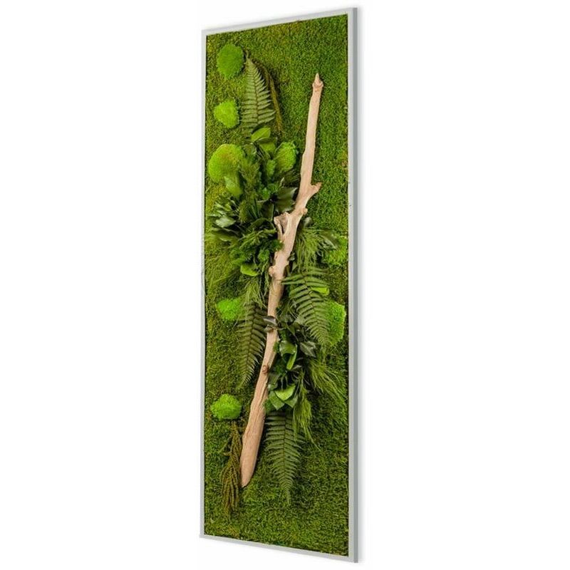 Tableau végétal stabilisé nature Pano 25 x 115 cm - Blanc (cadre)