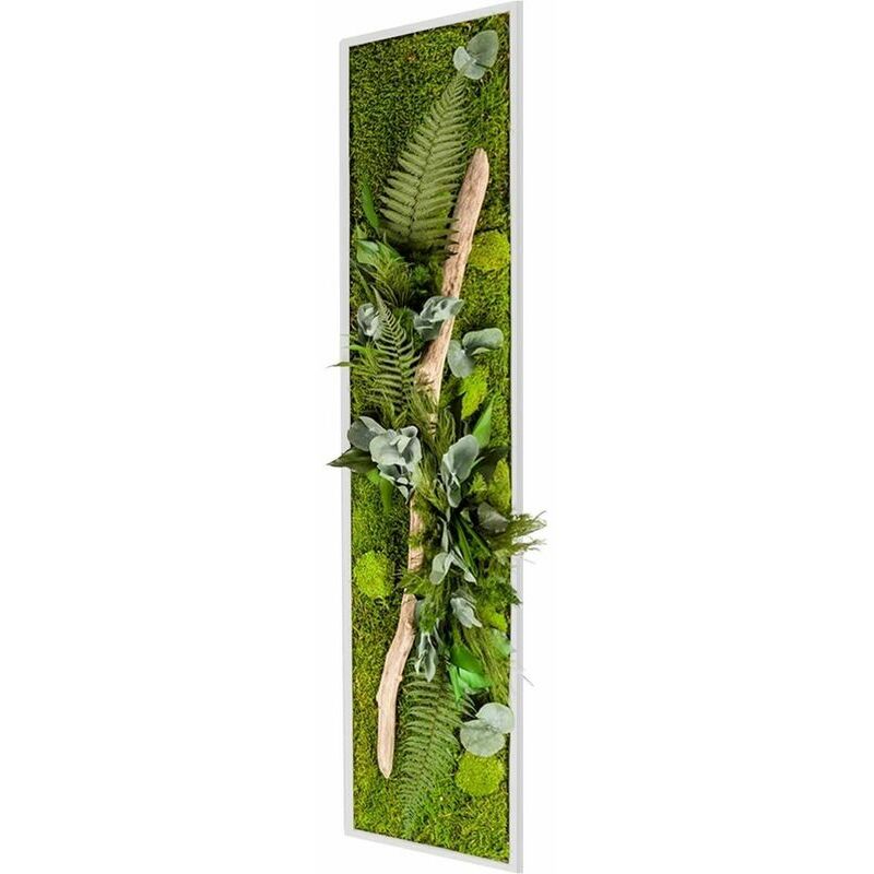 Flowerbox - Tableau végétal stabilisé nature Pano 40 x 140 cm - Blanc (cadre)