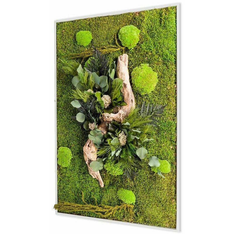 Flowerbox - Tableau végétal stabilisé nature Rectangle 40 x 90 cm - Blanc (cadre)