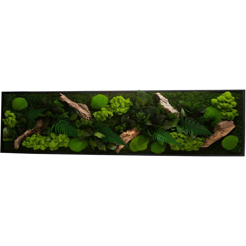 Flowerbox - Tableau végétal stabilisé canopé Panoramic 115 x 25 cm - Noir (cadre)