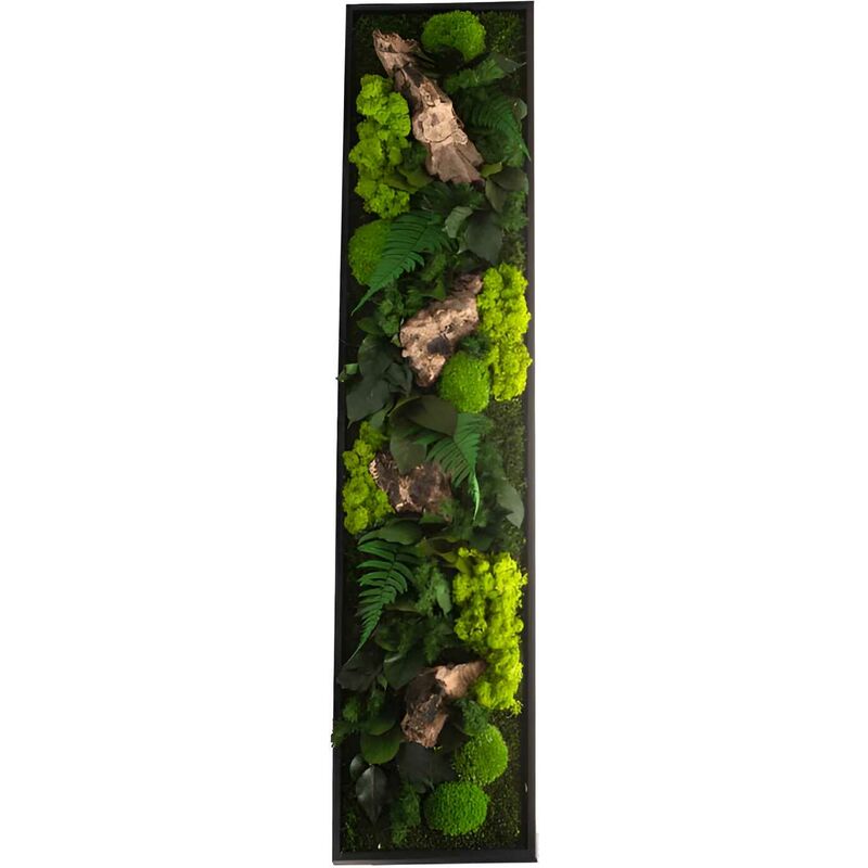 Flowerbox - Tableau végétal stabilisé canopé Panoramic 140 x 40 cm - Noir (cadre)