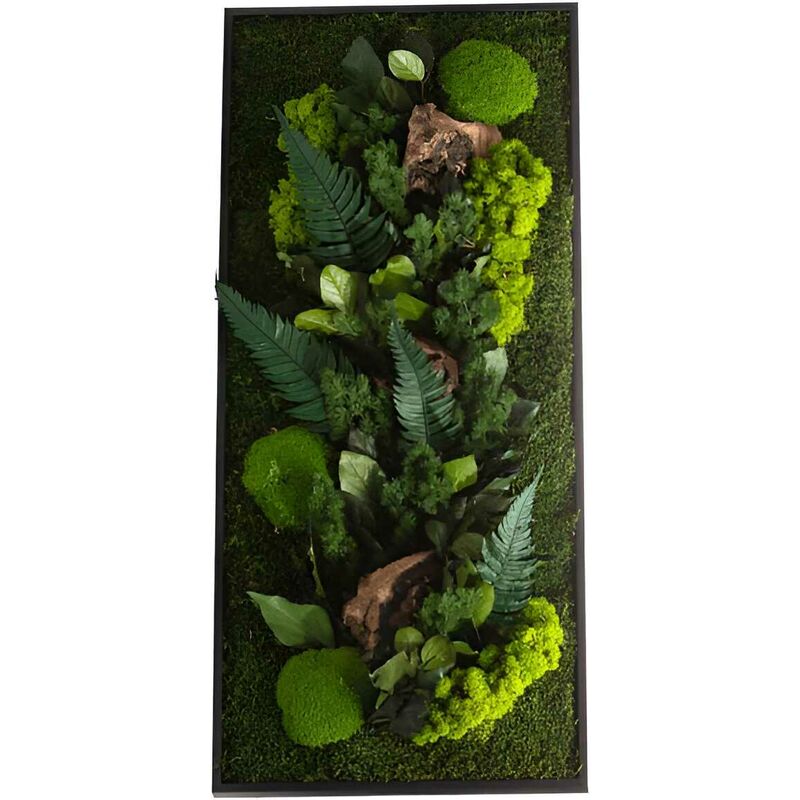 Flowerbox - Tableau végétal stabilisé canopé Rectangle 90 x 40 cm - Noir (cadre)