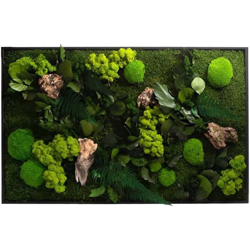 Tableau végétal stabilisé canopé Rectangle 100 x 60 cm - Noir (cadre)