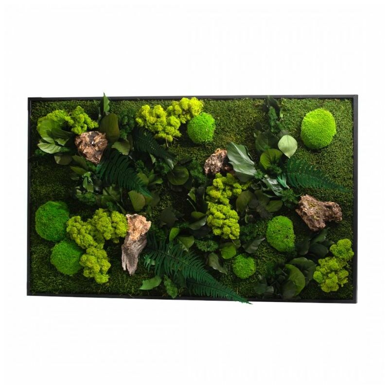 Naturalys - Tableau végétal canopee Rectangle 60 x 100 cm