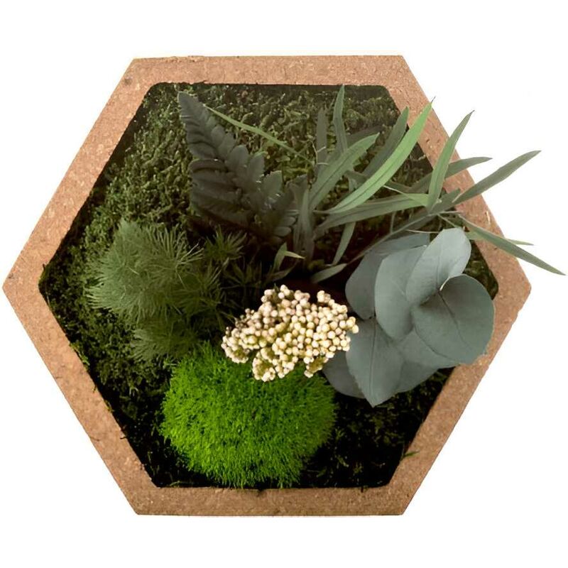 Flowerbox - Tableau végétal stabilisé nature Hexagonale - Blanc (cadre)
