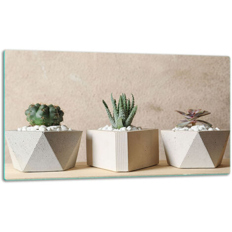 Tablero de corte de placa de vidrio 52x30 cactus
