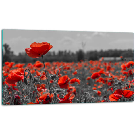 Tablero de corte de placa de vidrio 52x30 flores