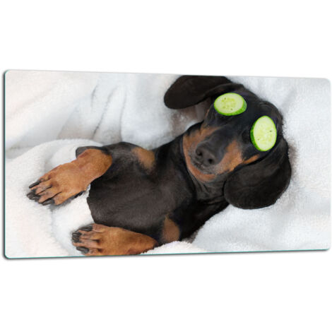 Tablero de corte de placa de vidrio 52x30 Perro