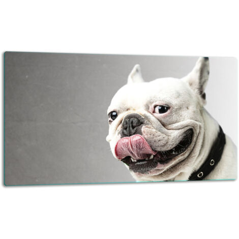 Tablero de corte de placa de vidrio 52x30 Perro