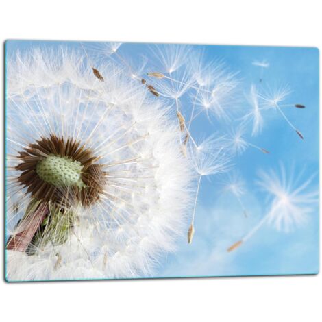 Tablero de corte de placa de vidrio 52x40 Dandelion