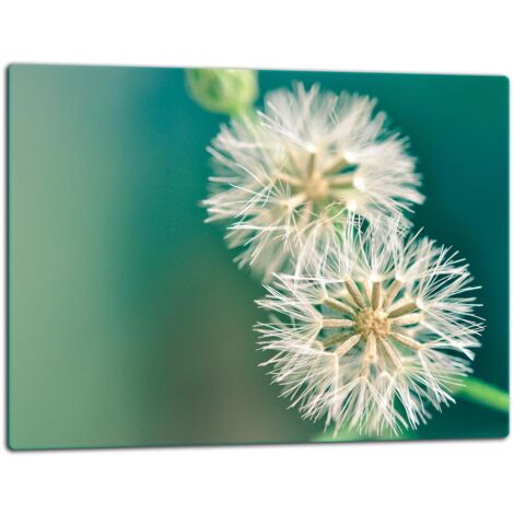 Tablero de corte de placa de vidrio 52x40 Dandelion