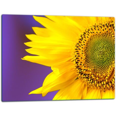 Tablero de corte de placa de vidrio 52x40 flor