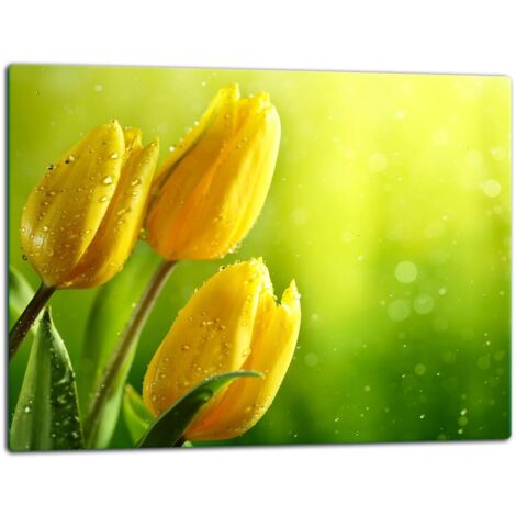 Tablero de corte de placa de vidrio 52x40 flores