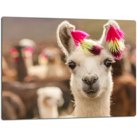 Tablero de corte de placa de vidrio 52x40 lama