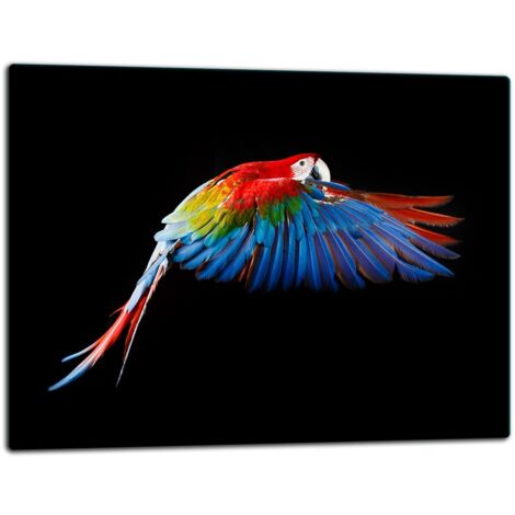 Tablero de corte de placa de vidrio 52x40 loro