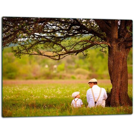 Tablero de corte de placa de vidrio 52x40 paisajismo