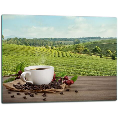 Tablero de corte de plato de vidrio 52x40 Caf