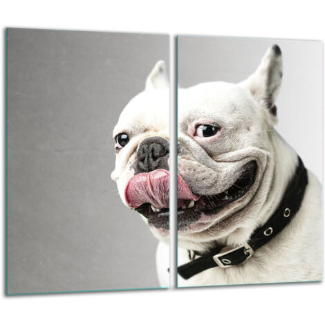 Tablero de corte de vidrio 2x 30x52 Perro