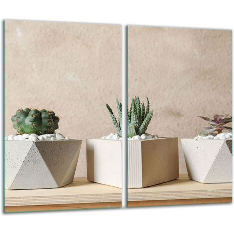 Tablero de vidrio 2x 30x52 cactus