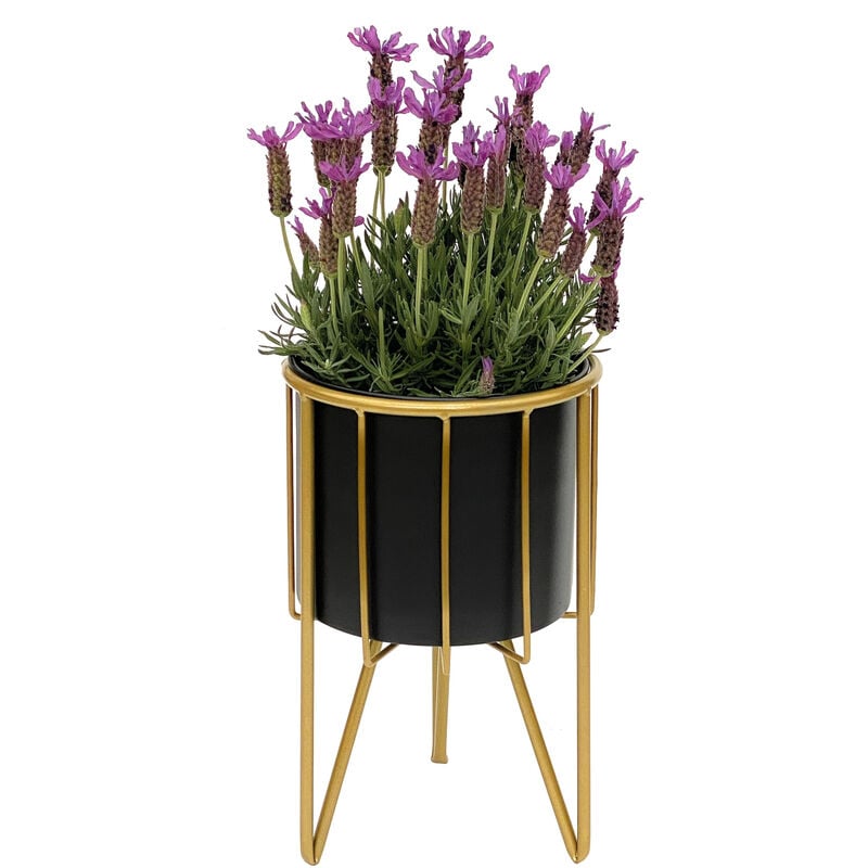 Dandibo - Tabouret de fleurs avec pot en métal doré et noir, forme ronde, s 32 cm, table pour fleurs 96039, colonne de fleurs moderne, support de