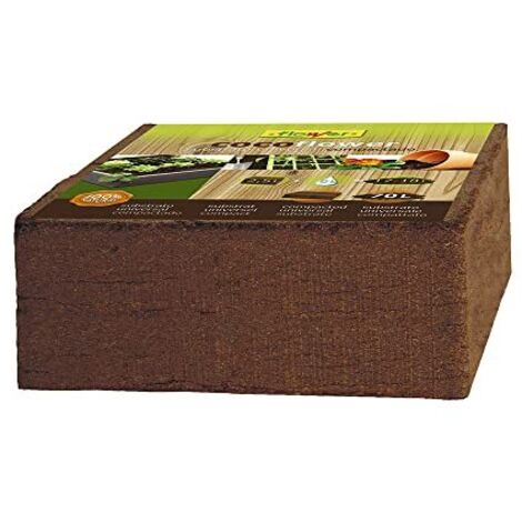 Taco di cocoflower sostato fiore 70 l