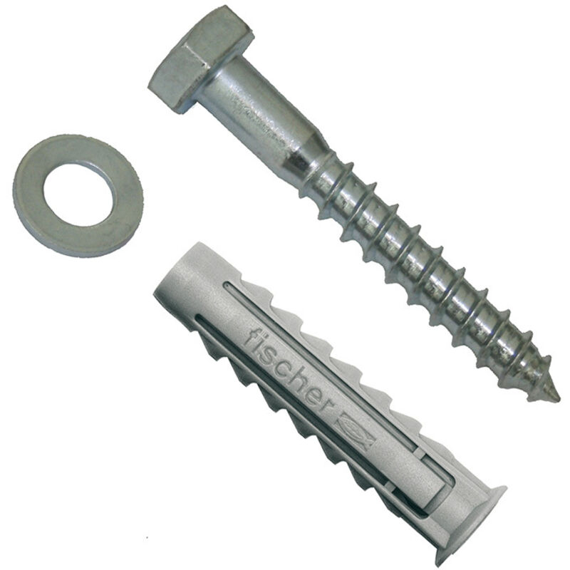 Taco Tornillo 10x80mm 2Unid Fischer