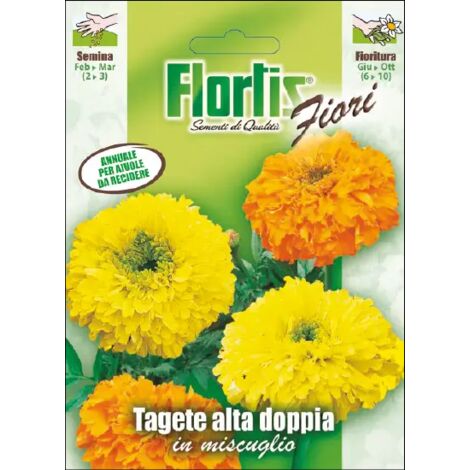 Tagete Alta Mix