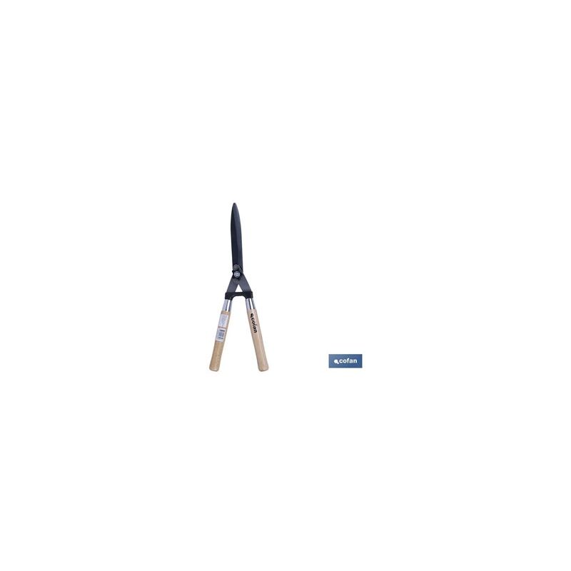 Image of Tagliasiepi professionale