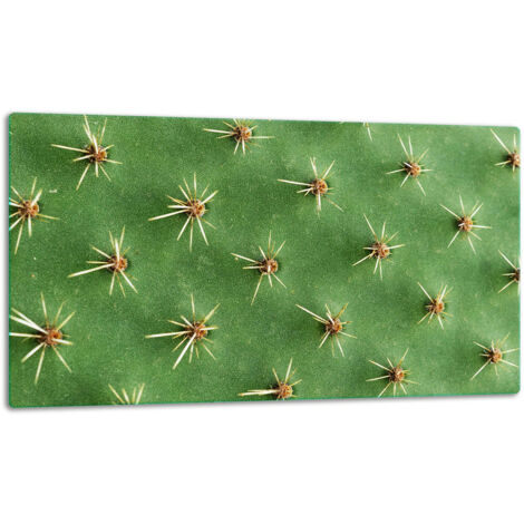 Tagliere della lastra di vetro 52x30 cactus