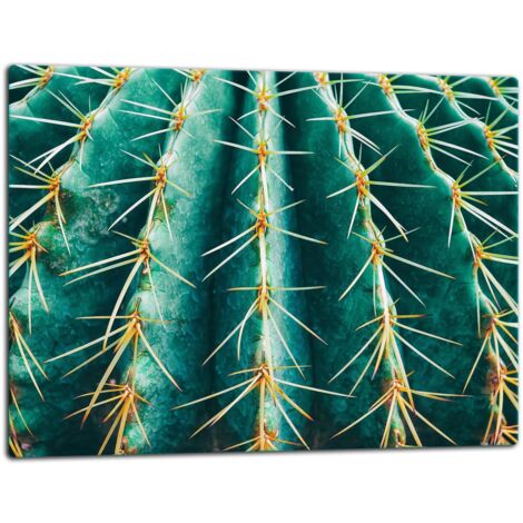 Tagliere della lastra di vetro 52x40 cactus