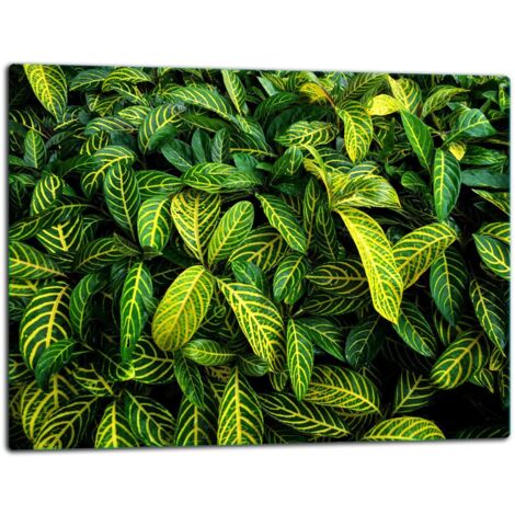 Tagliere della lastra di vetro 52x40 verde