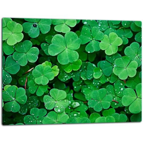 Tagliere della lastra di vetro 52x40 verde