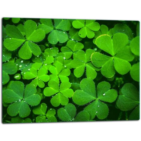 Tagliere della lastra di vetro 52x40 verde