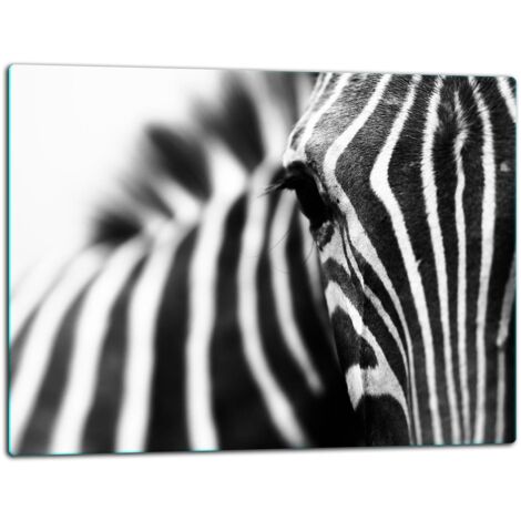 Tagliere della lastra di vetro 52x40 zebra