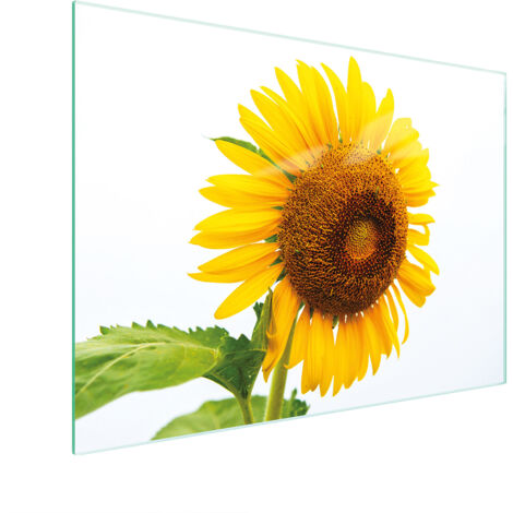 TAGLIERE IN VETRO 30x22 FIORE