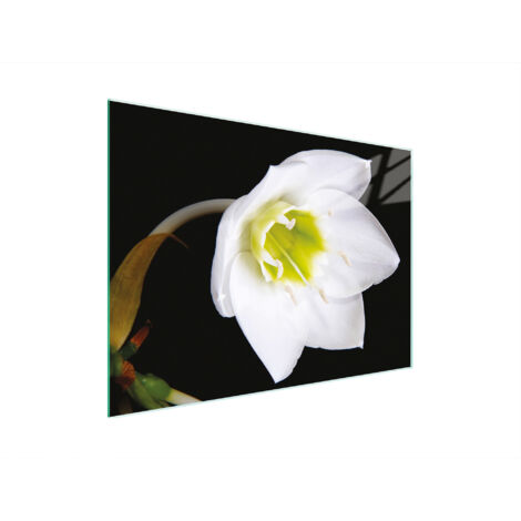 TAGLIERE IN VETRO 30x22 ORCHIDEA