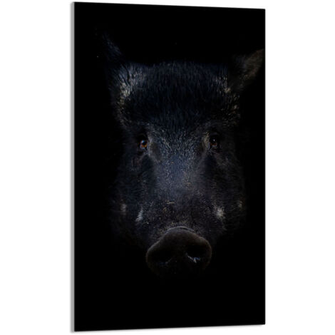 TAGLIERE IN VETRO 30x52 Cinghiale