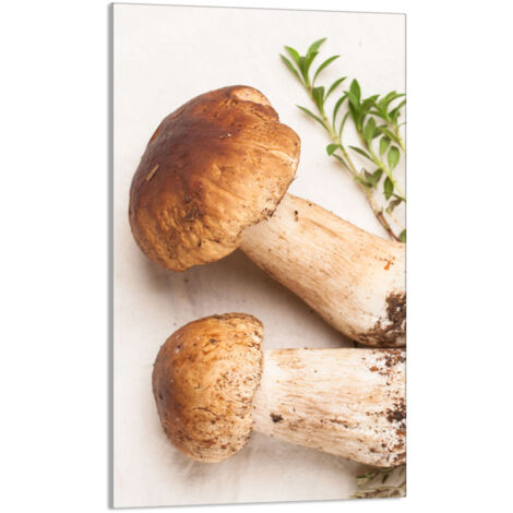 TAGLIERE IN VETRO 30x52 Funghi
