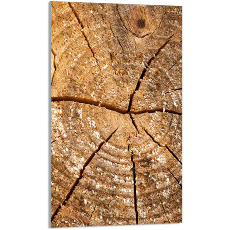 TAGLIERE IN VETRO 30x52 Legno