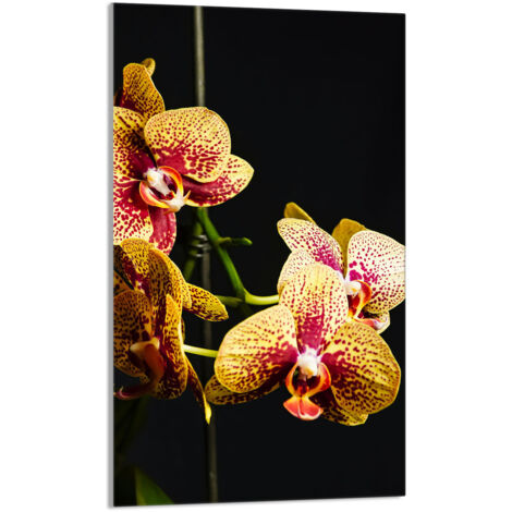 TAGLIERE IN VETRO 30x52 Orchidea