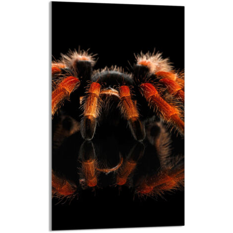 TAGLIERE IN VETRO 30x52 Spider