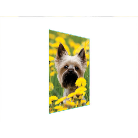 TAGLIERE IN VETRO 35x52 CANE